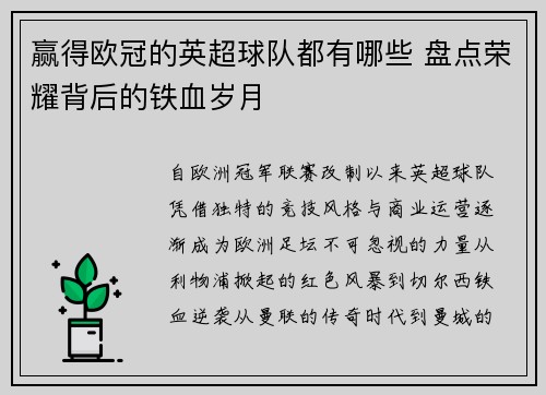 赢得欧冠的英超球队都有哪些 盘点荣耀背后的铁血岁月